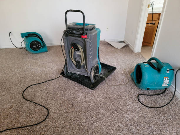 Best Residential water damage restoration  in Difficult Run, VA