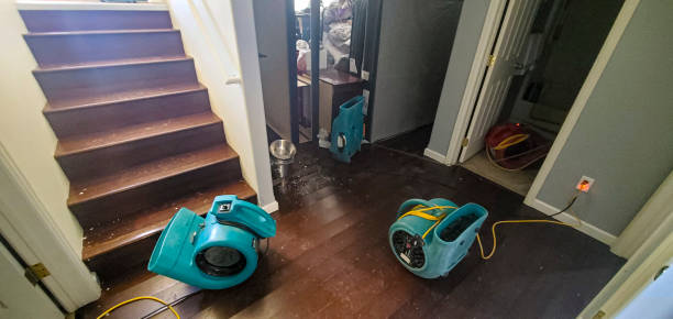 Best Water damage contractors near me  in Difficult Run, VA