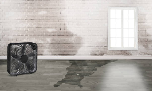  Difficult Run, VA Water damage restoration Pros