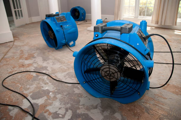Best Flood damage cleanup  in Difficult Run, VA