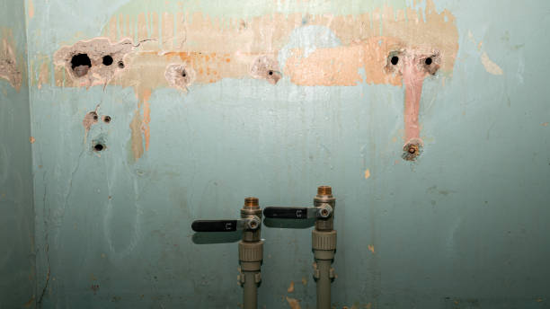 Best Water damage restoration company  in Difficult Run, VA