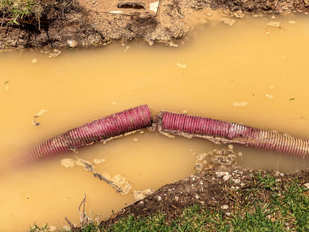 Best Emergency water damage restoration  in Difficult Run, VA